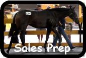 Sales Preparation